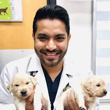 All creatures pet hospital, springfield, mo. Our Veterinarians Staff Armstrong Pet Hospital Care For Cats Dogs Pets Animals