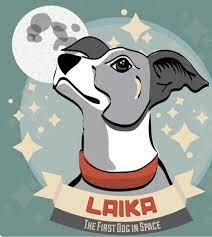 laika is the first dog going to space soviet space dogs dog illustration space animals