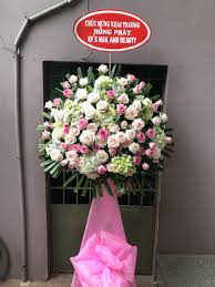 Về xs tiền giang (sxtg). Cá»­a Hang Hoa TÆ°Æ¡i Thá»‹ Xa Go Cong Tiá»n Giang Ä'iá»‡n Hoa Gia Ráº» Ä'áº¹p