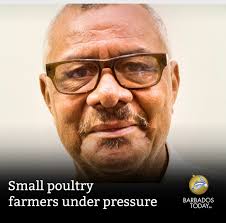Slow growth rates and issues with payment for their product are threatening  the operations of small poultry farmers, says the president of the Barbados  Egg and Poultry Producers Association (BEPPA) Stephen Layne.
