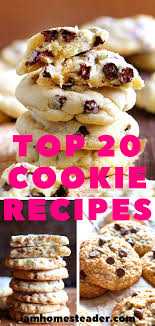 Top 20 Cookie Recipes Best Cookie Recipes Cookie Recipes Homemade Easy Cookies