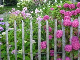 Gartnern Staketenzaun Aus Kastanienholz Garten Sommerblumen Naturgarten