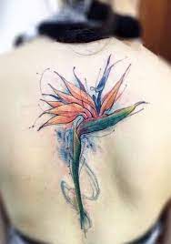 lincoln obs bird of paradise tattoo tattoos cool tattoos