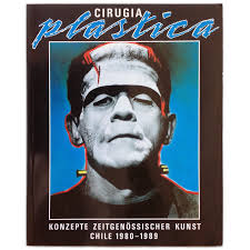 arte conceptual chileno