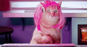 Image result for welcome to the internet meme