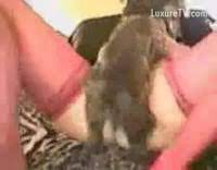 Porno bestial - Video Porno Extreme - LuxureTV