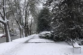 Sand, surf and … snow? Snowfall Warning Re Issued For Parts Of The Lower Mainland Abbotsford News