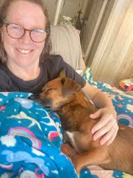 Max's adventures in New Hampshire