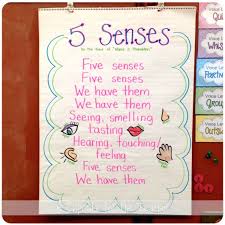 Five Sense Worksheet New 390 Five Sense Preschool Songs