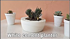 It should regrow in a couple months. How To Fix Large Broken Concrete Flower Box Google Search Cement Flower Pots Diy Cement Planters Cement Planters