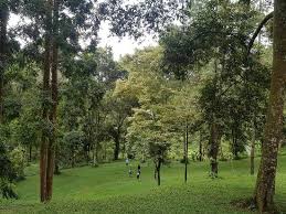 See 54 traveller reviews, 118 photos, and. Selabintana Resort Hotel Prices Reviews Sukabumi Indonesia Tripadvisor