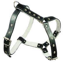 pin on dog harness