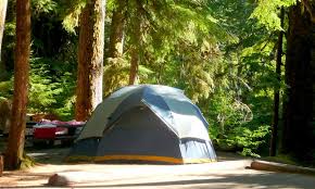 We did not find results for: Olympic Peninsula Campgrounds Alltrips