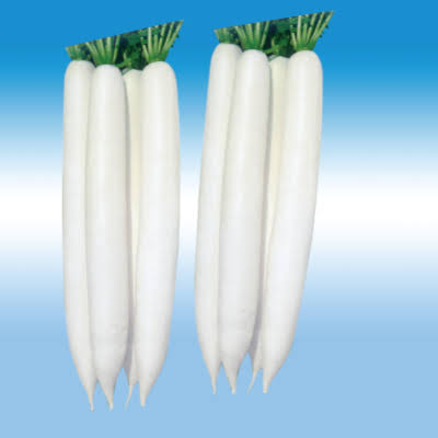 মুলা