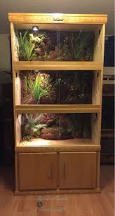 Custom Reptile Enclosures Www Facebook Com Highscalenclosures Reptile Terrarium Reptile Enclosure Reptile Habitat