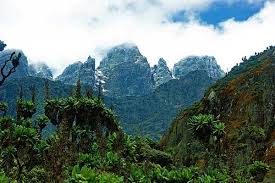 This place is amazing and if you are heading to eastern africa, exploring these mountains is a must! Rwenzori Glaciers Of The Mountains Of The Moon