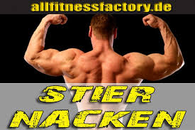 Wollen sie zudem den oberen rücken, sprich den trapezmuskel, trainieren, ziehen sie die stange bis auf höhe der brust. Trapezmuskel Training Fur Einen Massigen Nacken Muskeln Bodybuilding Bodybuilder