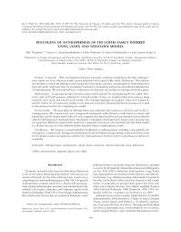 Image result for Anthospermum whyteanum