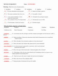 One copy of each chromosome in a gamete. Meiosis Matching Worksheet Answer Key Fresh 15 Best Of Phases Meiosis Worksheet Meiosis Chessmuseum Template Library In 2021 Mitosis Vocabulary Worksheets Cell Cycle