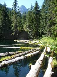 Explore mineral park campground in mt. Pyramid Lake Trail North Cascades National Park U S National Park Service