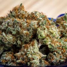 Santa Maria-Inner Earth Seeds-Premium cannabis seeds