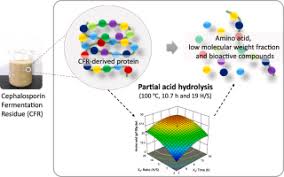 Check spelling or type a new query. A New Approach To Recycling Cephalosporin Fermentation Residue Into Plant Biostimulants Sciencedirect