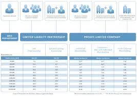 Pros And Cons Of The Singapore Business Entities Rikvin Pte Ltd