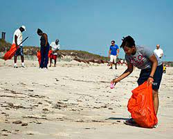 Volunteering As An Ecosystem Manager | Ask A Biologist