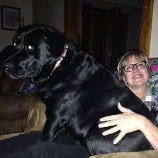 Maybe you would like to learn more about one of these? Marlene Kahler Marlenekahler Profile Pinterest