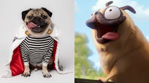 The machines featuring dazzling visuals that take more than one viewing to catch all the nuances in each frame. Doug The Pug Boards Lord And Millers Connected Animation World Network