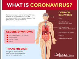 Pin On Infectious Diseases