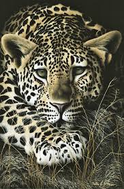 Pin By Michele Landis Rank On Growl Roar Hiss Claws Fangs Animals Wild Cats Animal Art