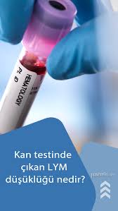 Kan Testinde Cikan Lym Dusuklugu Nedir Lym Dusuklugu Hangi Hastaliklarin Habercisidir Bagisiklik Sistemi Kemik Iligi Kan Hucreleri