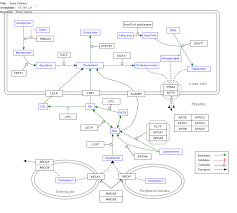 Triglyceride Wikipedia