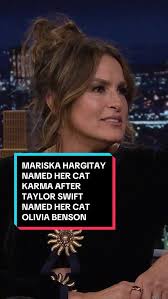 Mariska Hargitay's Cat Karma Inspired by Taylor Swift's Olivia Benson