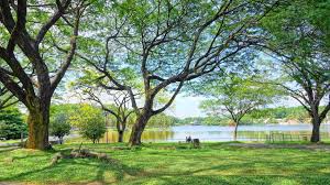 All about the taman botani negara shah alam, often called bukit cerakah, or taman pertanian malaysia. Jom Go 6 Jogging Spots With A View