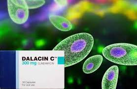 Aifa (agenzia italiana del farmaco). Dalacin C Clindamicina Foglio Illustrativo Spiegato
