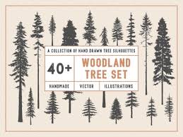 Check spelling or type a new query. Douglas Fir Designs Themes Templates And Downloadable Graphic Elements On Dribbble