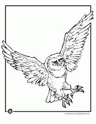 ⭐ free printable harry potter coloring book. Owl Coloring Pages Woo Jr Kids Activities