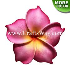 This foam craft is so. Foam Plumeria Type Nu Craftsway Llc Artificial Flowers Crafts Items