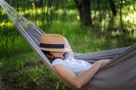 Worried About Dividend Cuts? Buy These 3 Dividend Stocks and Sleep Well At Night