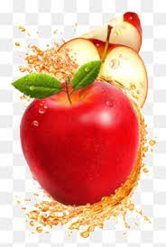 millions of png images backgrounds and vectors for free download pngtree fruit illustration fruit fruit art millions of png images backgrounds and