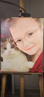 Aurora Borealis Coastal Road