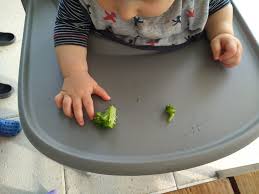 Essen sollte eigentlich eines der schönsten und genussvollsten themen im leben sein. Baby Ernahrung Im 8 Und 9 Monat Miss Broccoli