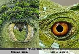 География на Likeness.ru / Новые сходства в начале