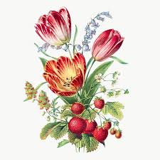 Download Premium Png Of Vintage Flower Bouquet Transparent Png 2098689 In 2020 Flower Illustration Vintage Flowers Summer Flower Bouquet