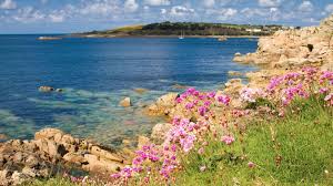 Proflowers.com has been visited by 10k+ users in the past month The British Shipwreck That Changed The World Bbc Travel