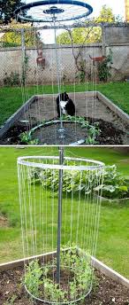 Make A Rim Trellis For Your Garden With A Couple Of Bike Rims Hydrokultur Garten Garten Gartenspaliere