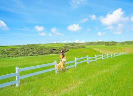 22:16 bear chao 99 673 просмотра. å¤¢å¹»æ³¢æµªç¶ è‰ å¢¾ä¸ç§æˆ¿ å°ç‰ˆç´è¥¿è˜­ ç§˜å¢ƒæ¼«æ­¥å¤§è‰åŽŸè¶…å¿˜æ†‚ Ettodayæ—…éŠé›² Ettodayæ–°èžé›²