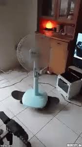 Sieh dir an, was gioia (graziellacurreli1965) auf pinterest, der weltweit größten sammlung von ideen, entdeckt hat. Haha Lustige Bilder Spruche Witze Echt Lustig